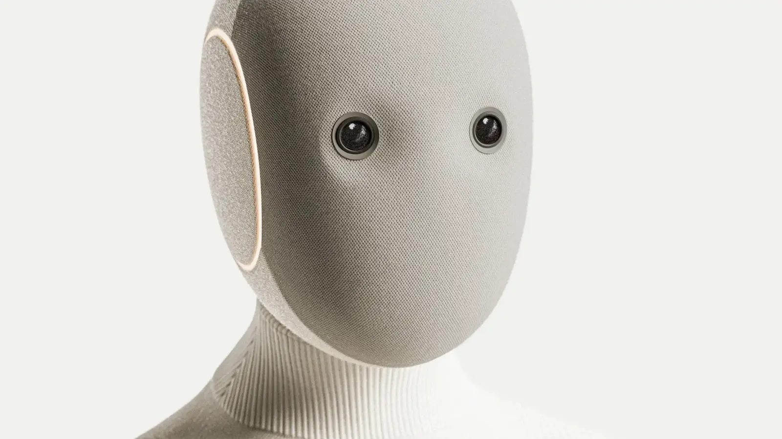 NEO home robot